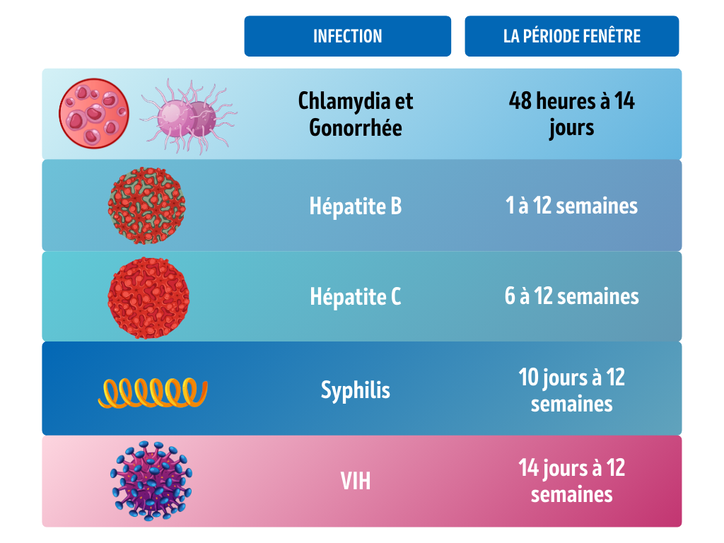 Les-periodes-fenetre