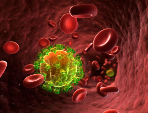 Learn more about STIs to protect yourself